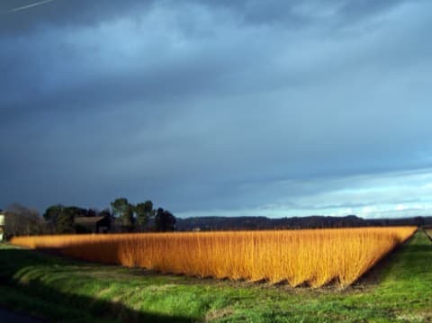Couvreur Barie