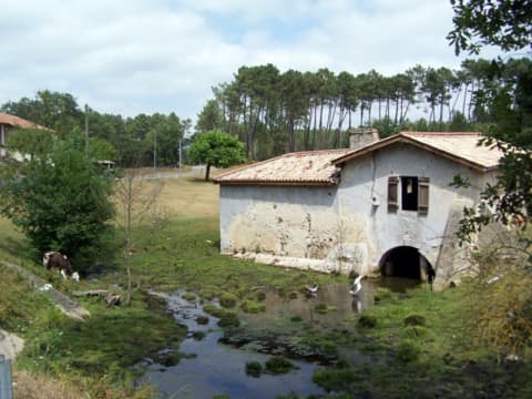Couvreur Lerm-et-Musset