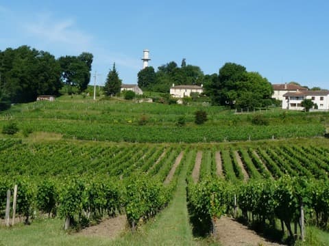 Couvreur Saint-Cibard