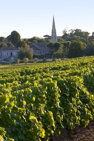 Couvreur Sauternes