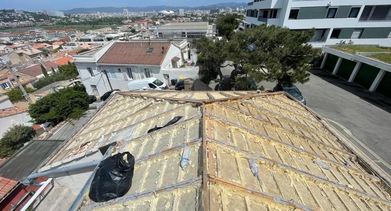 Rénovation complète de toiture et Pose de Velux