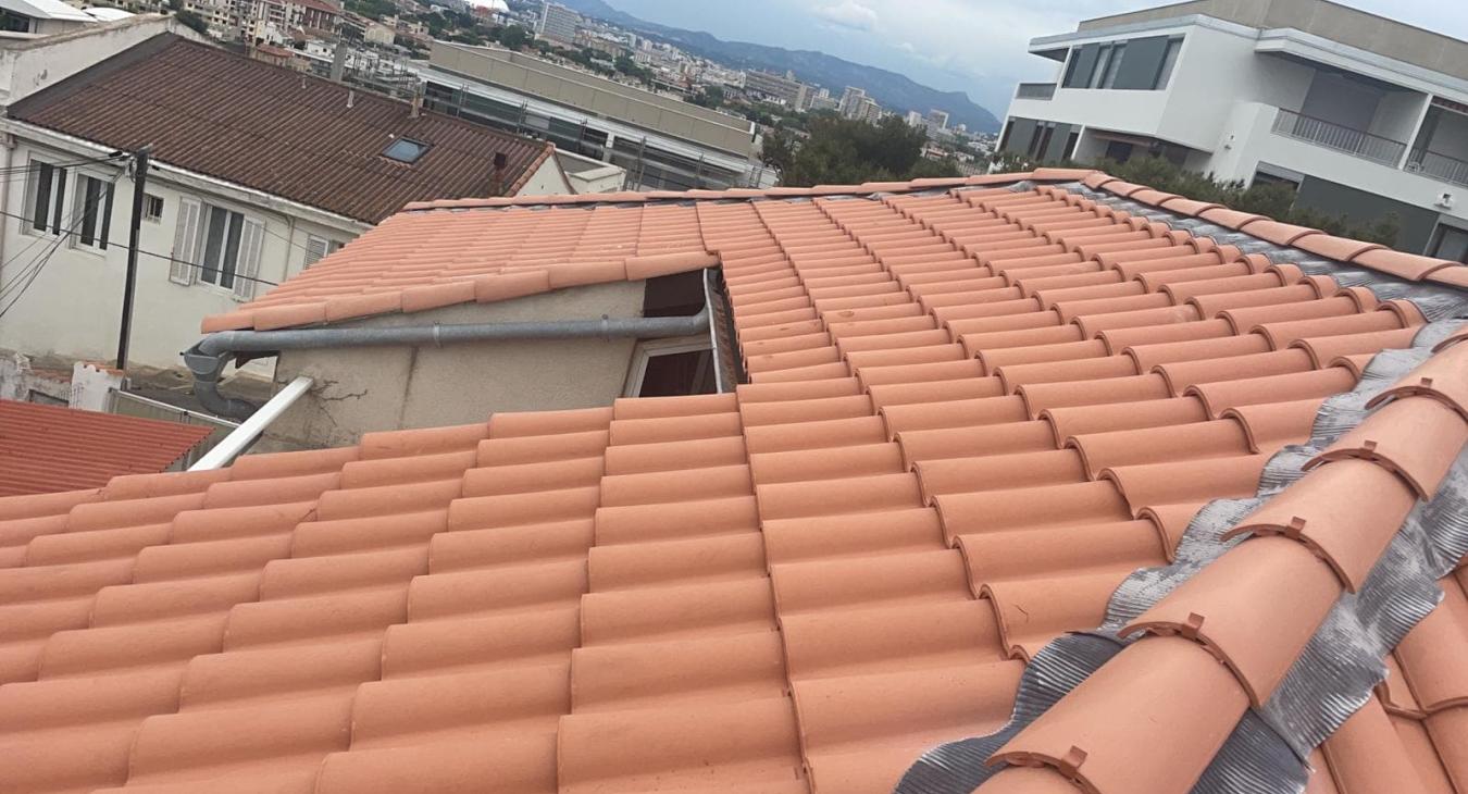 Rénovation complète de toiture et Pose de Velux